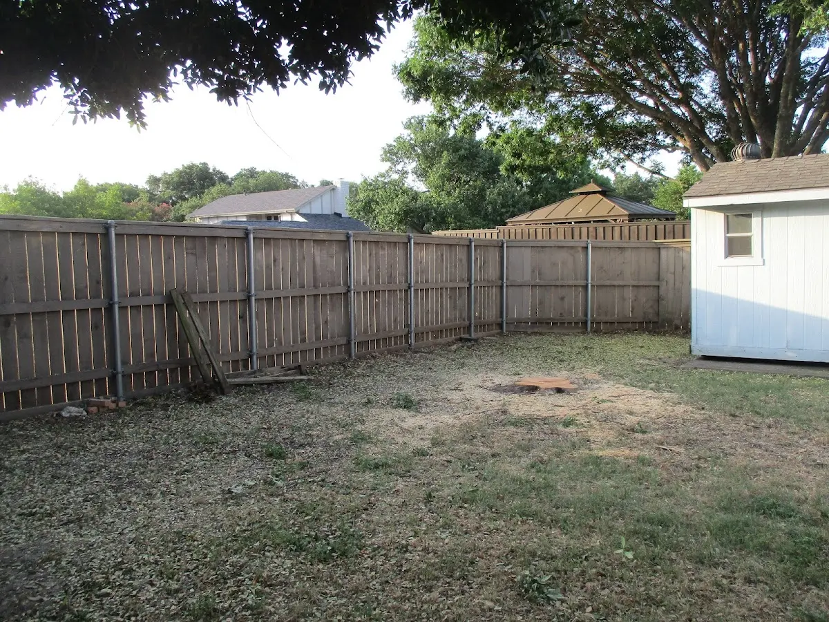 Cleared yard after professional tree removal in Leopold