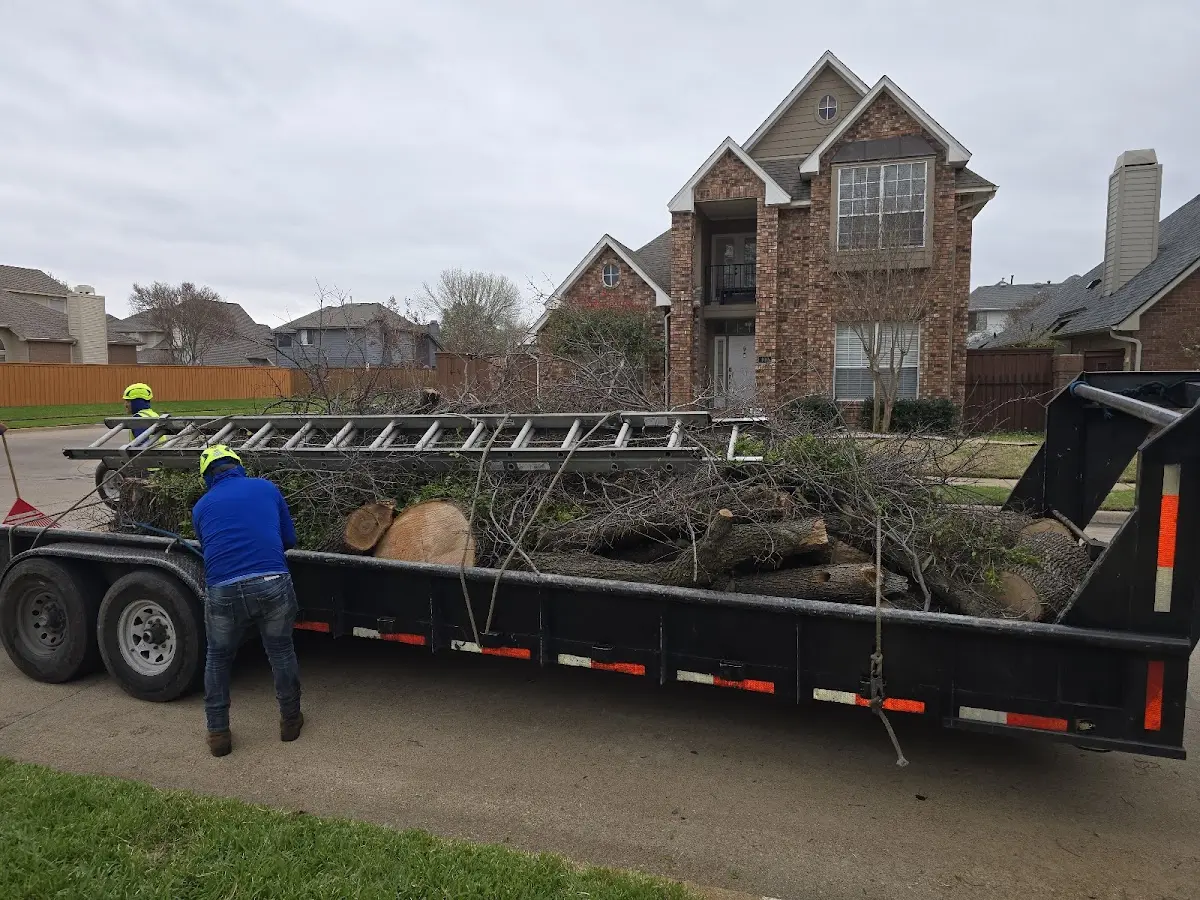 Expert Lot Clearing with proper safety equipment in Leopold